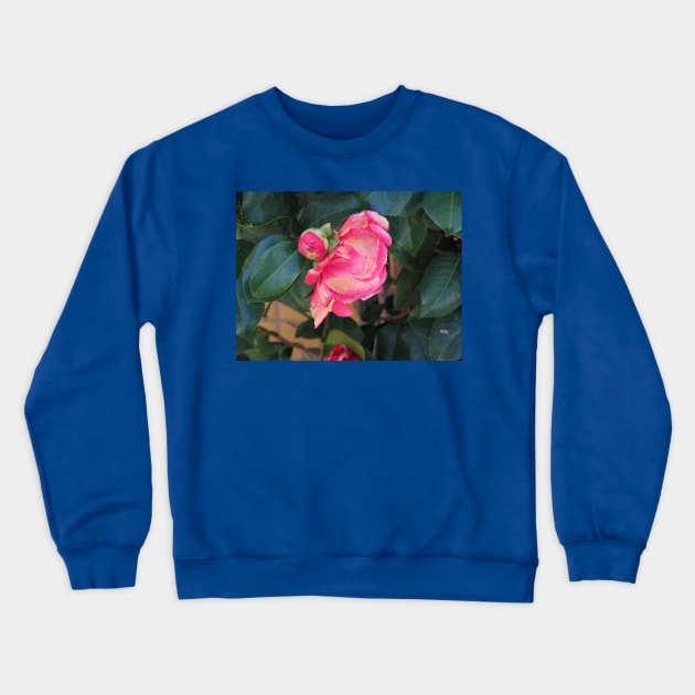 Camellia coming into bloom Crewneck Sweatshirt by FriendlyComputerHelp